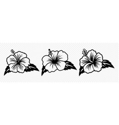 Monochrome Outline Ink Hibiscus Chinese