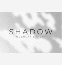 Shadow Overlay Effect Transparent Soft Light And