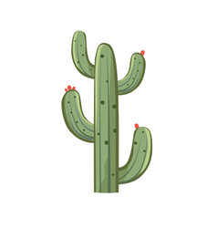 Cactus Plant Clip Art Green Cacti Image