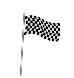 Flag Race Icon