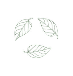 Line Art Leaves Eco Icon On Isolated Background