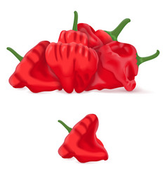 Group Of Red Scotch Bonnet Peppers