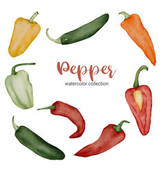 Pepper In Watercolor Collection Flat On White