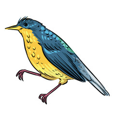 Blue Yellow Flycatcher Bird