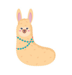 Llama Wearing Blue Necklace