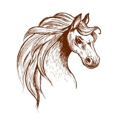 Wild Feral Horse In Aggressive Posture Sketch