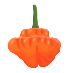 Orange Scotch Bonnet Peppers