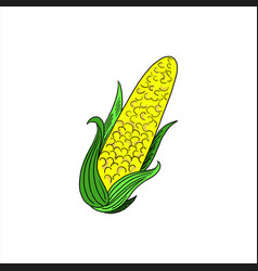 Corn Colored Simple Doodle Clipart Of Cob