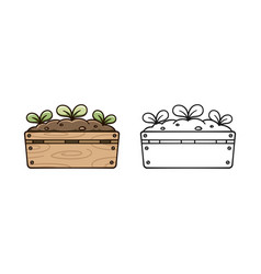 Sprout Plant Growing From A Wooden Crate Cute