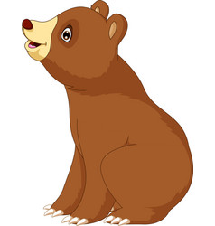 Cute Brown Bear Cartoon Posing