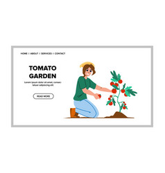 Tomato Garden