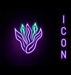 Glowing Neon Line Seaweed Icon Isolated On Black