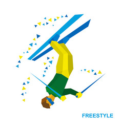 Freestyle Skiing Half-pipe Or Slopestyle