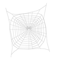 Spider Wireframe On A Large Web View From Above