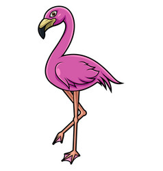 Cute Flamingo Cartoon On White Background