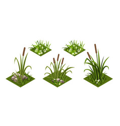 Reeds And Grass Isometric Green Grass