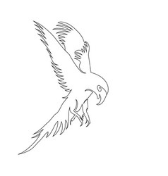 Eagle Line Art Drawing Style