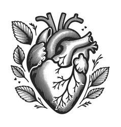 Anatomical Heart Surrounded By Foliage