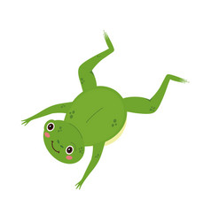 Frog Cute Animal