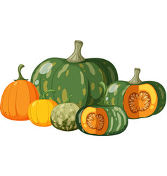 Pumpkin Pile On White Background