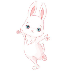 Cute Bunny