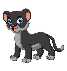 Cute Black Leopard Animal Cartoon