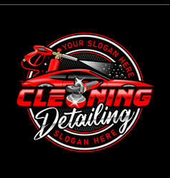 Car Wash And Auto Detailing Logo