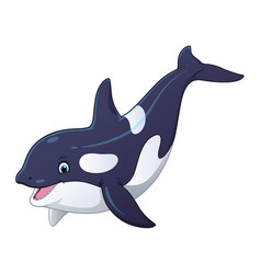 Killer Whale Cartoon Animal