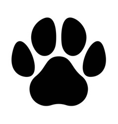 Dog Paw Images