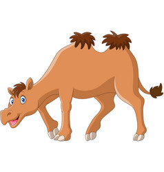 Cartoon Funny Camel Smile And Standing