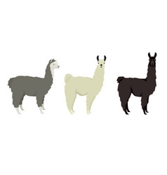 Llama Lama Glama Flat Isolated