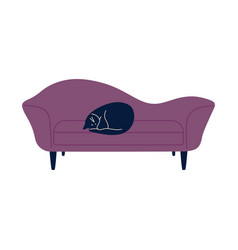 Cat Laying On Sofa Sleeps Cozy Comfy Couch