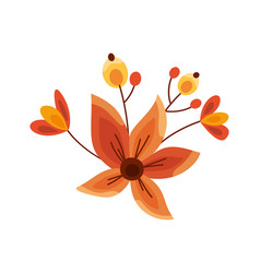 Flower Orange