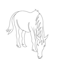 Horse Eat Grass Line Art Drawing Style