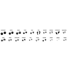 Large Set Of Animal And Bird Footprints Isolated