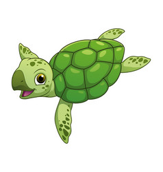 Little Sea Turtle Cartoon Animal