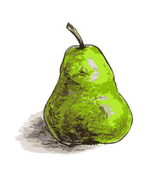 Green Pear Hand Drawn With Pastel