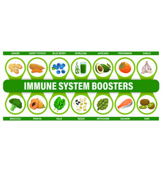 Immune System Food Boosters Infographics Chart