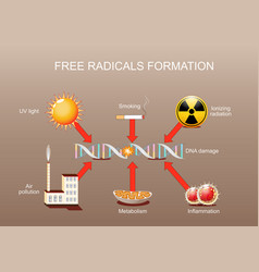 Dna Damage Free Radical Formation