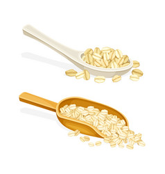 Oatmeal In Spoon And Scoop As Whole-grain Food