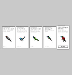 Bird Exotic Animal Nature Wild Onboarding Icons