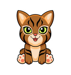 Cute Pixie Bob Cat Cartoon