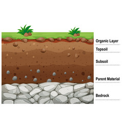 Diagram showing different layers soil Royalty Free Vector