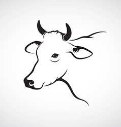 Image Of An Cow Head