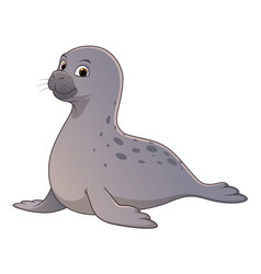 Seal Cartoon Animal