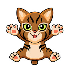 Cute Pixie Bob Cat Cartoon