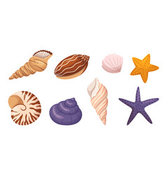 Seashells And Starfishes Set Perfect For Beach