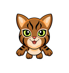 Cute Pixie Bob Cat Cartoon Flying