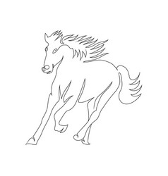 Horse Run Line Art Drawing Style