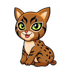 Cute Pixie Bob Cat Cartoon